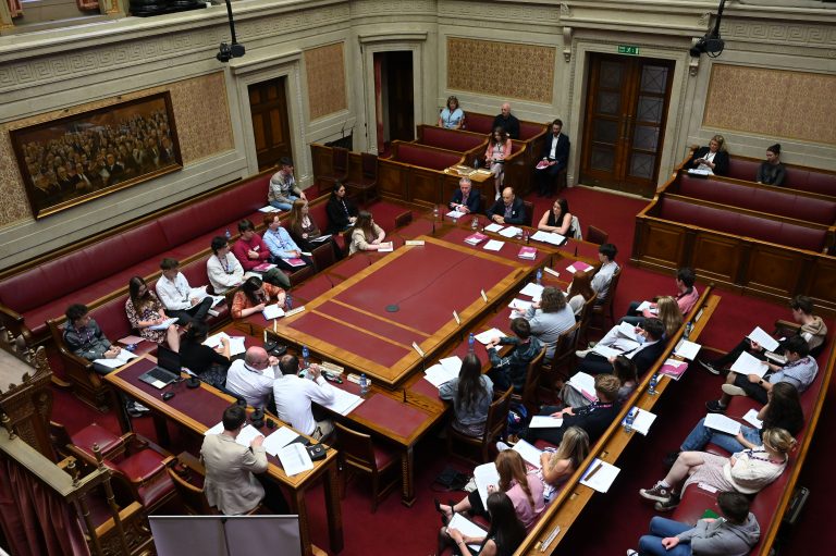 Youth Assembly Members questions officials from the Executive departments during Committee Meetings