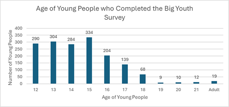 Bar chart titled "Age of Young People who Completed the Big Youth Survey." Highest at age 15 with 334 responses, decreasing gradually to adults with 19 responses.